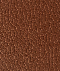 ferry seat leather color chips