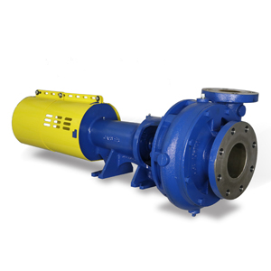 Carver 850 Pump Horizontal Filtrate Pump