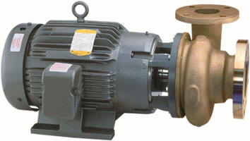 Marine and Industrial Electric Pumps