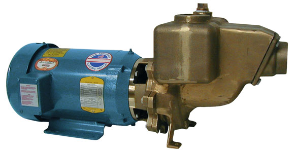 R Series Electric Marine Industrial Pump